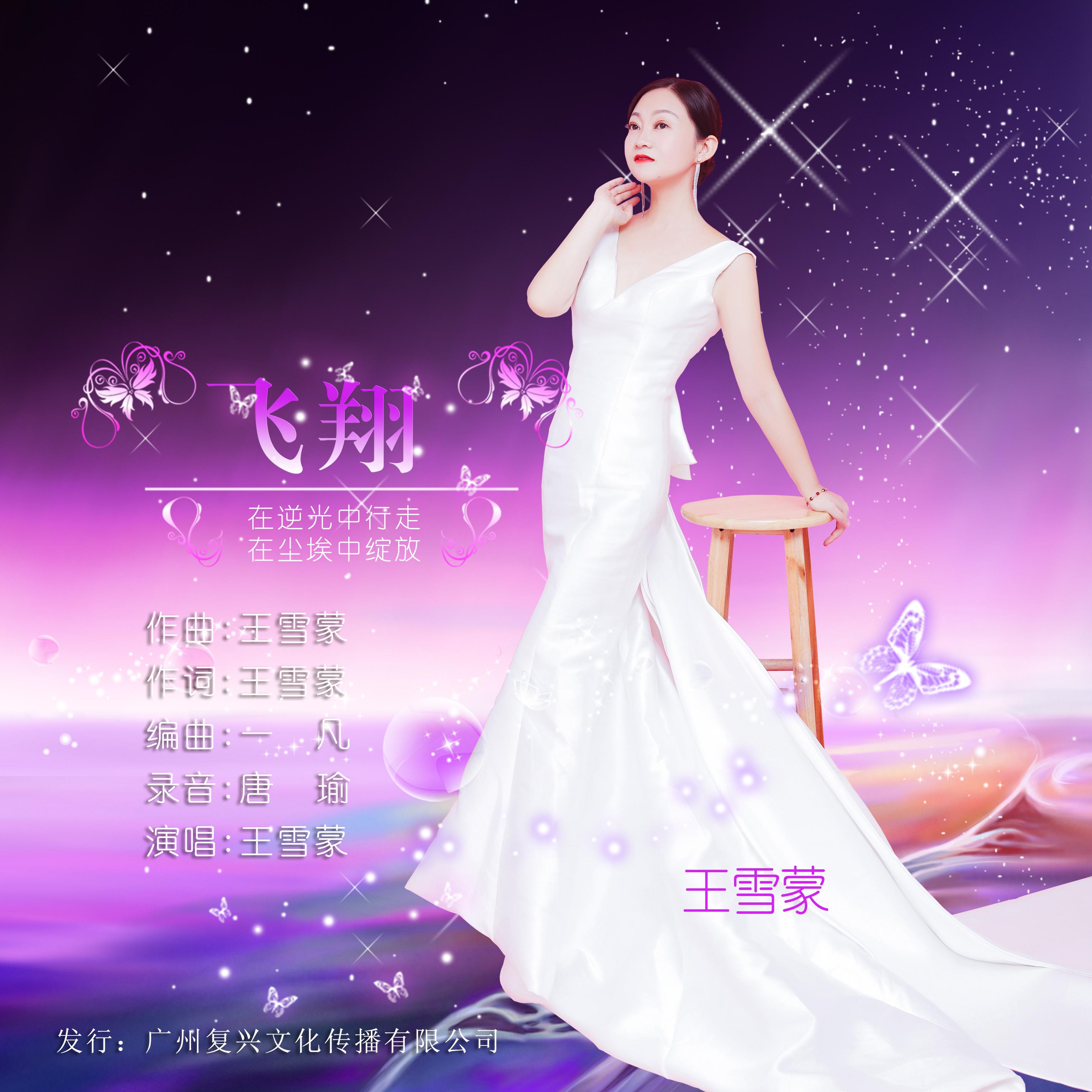 飞翔 (伴奏)封面