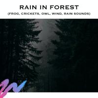 Rain in Forest (Frog, Crickets, Owl, Wind, Rain Sounds)