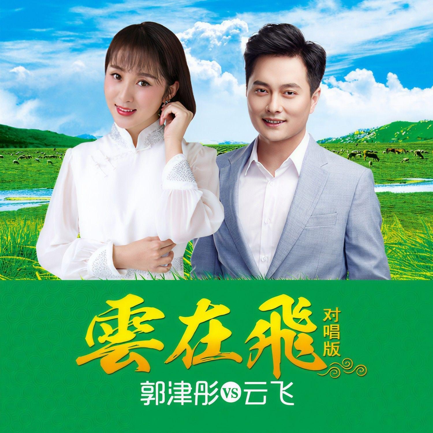 云在飞(对唱版)封面