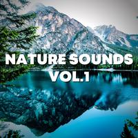 Nature Sounds