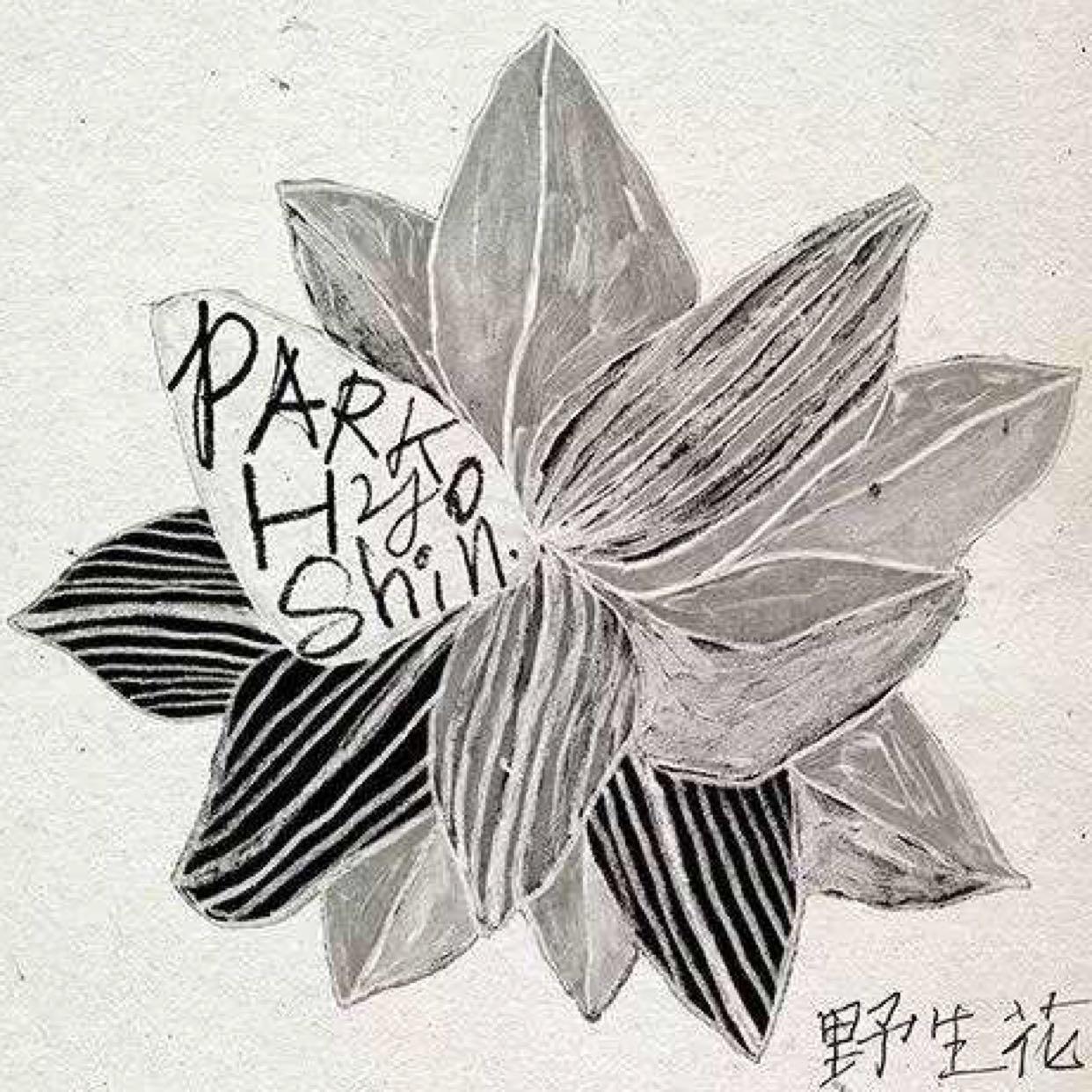 野生花封面