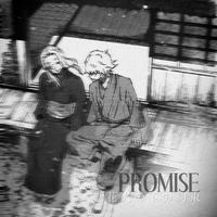 诺言Promise*✲ﾟ*｡⋆☽