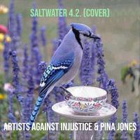 Saltwater 4.2. (Cover)