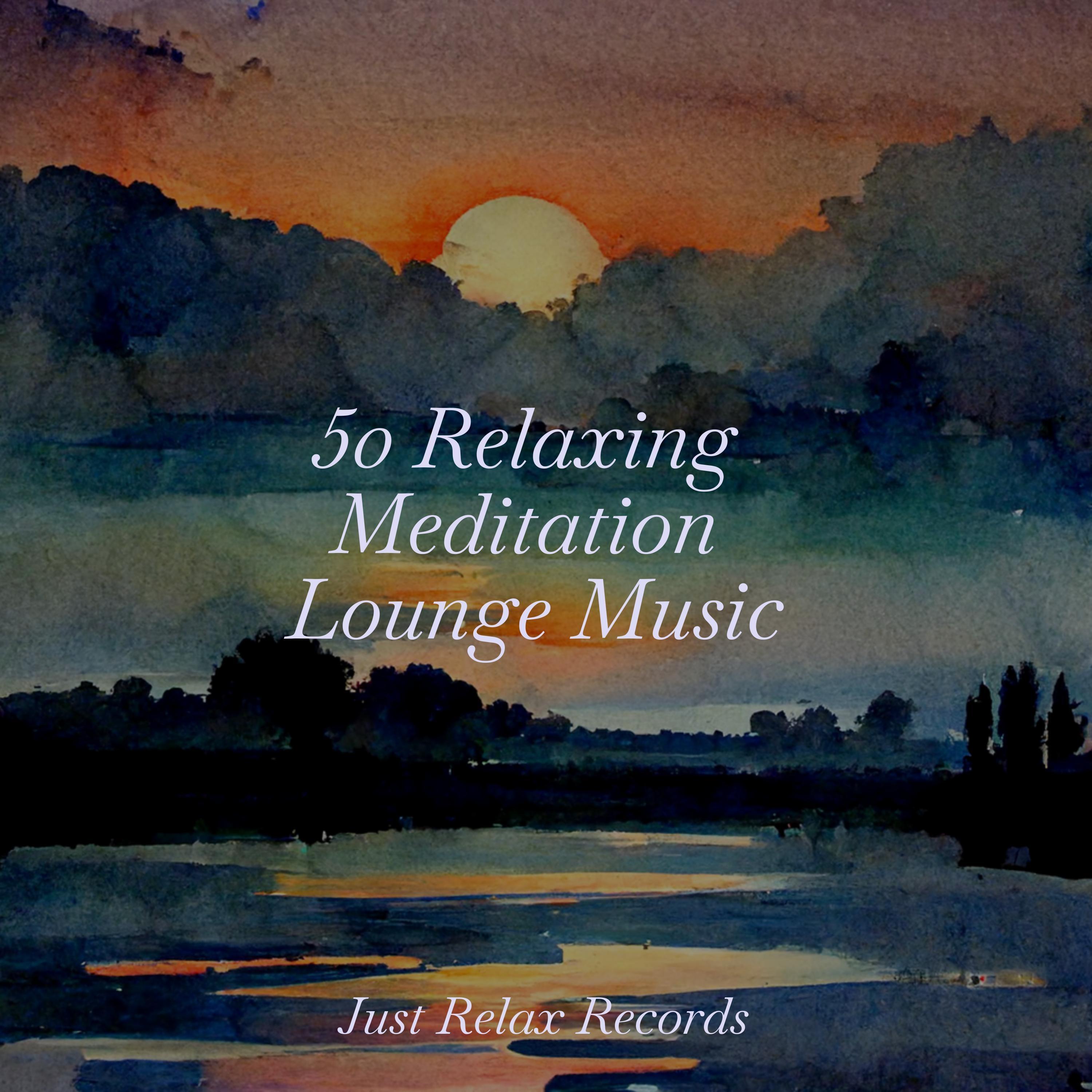 Moonlit Mermaid Melancholy Exam Study Classical Music/Musica Para