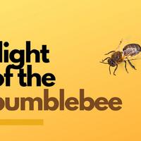 Flight of the Bumblebee资料,Flight of the Bumblebee最新歌曲,Flight of the BumblebeeMV视频,Flight of the Bumblebee音乐专辑,Flight of the Bumblebee好听的歌