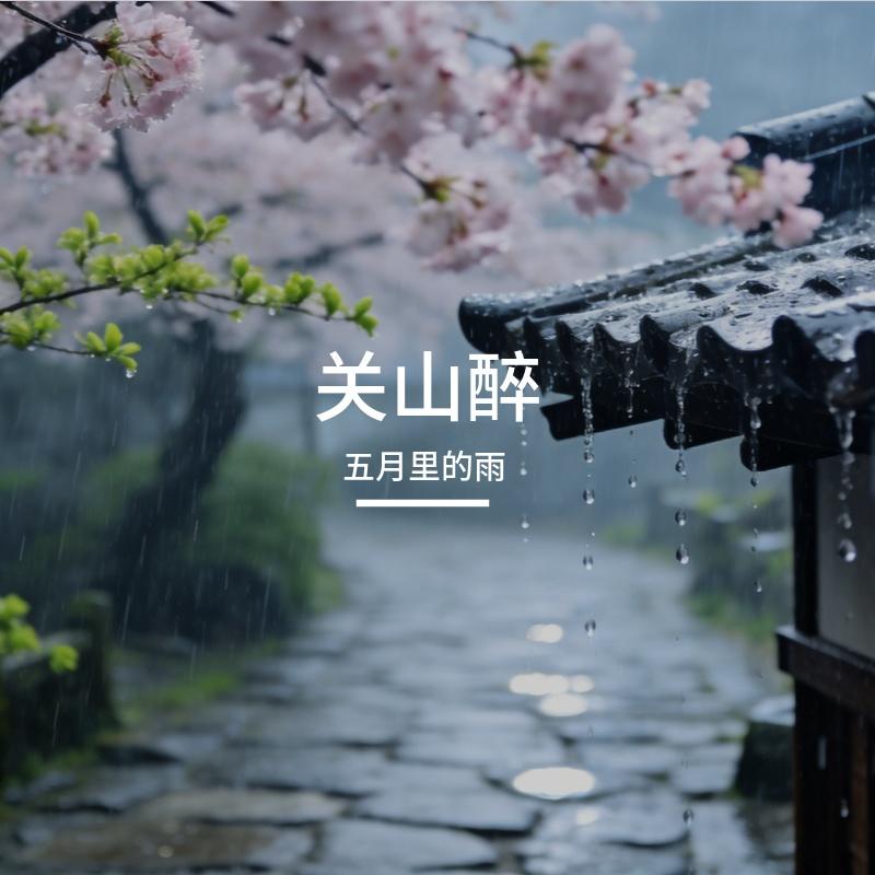 关山醉 - 五月里的雨封面