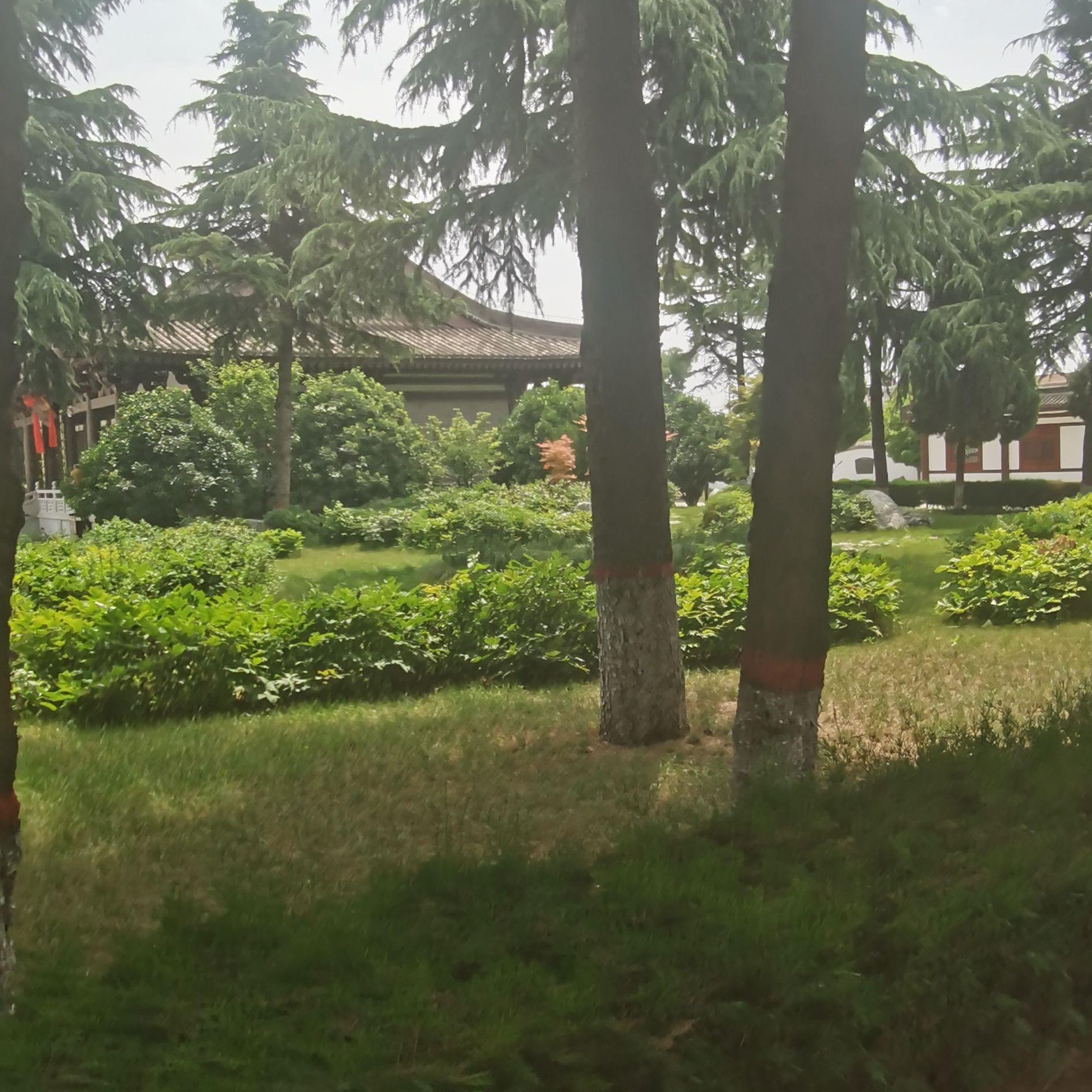 遗失的美好 伴奏 - 千寻阁、陈水若（虚拟歌手）封面