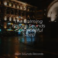 The Calming Nature Sounds - 50 Peaceful Sleep