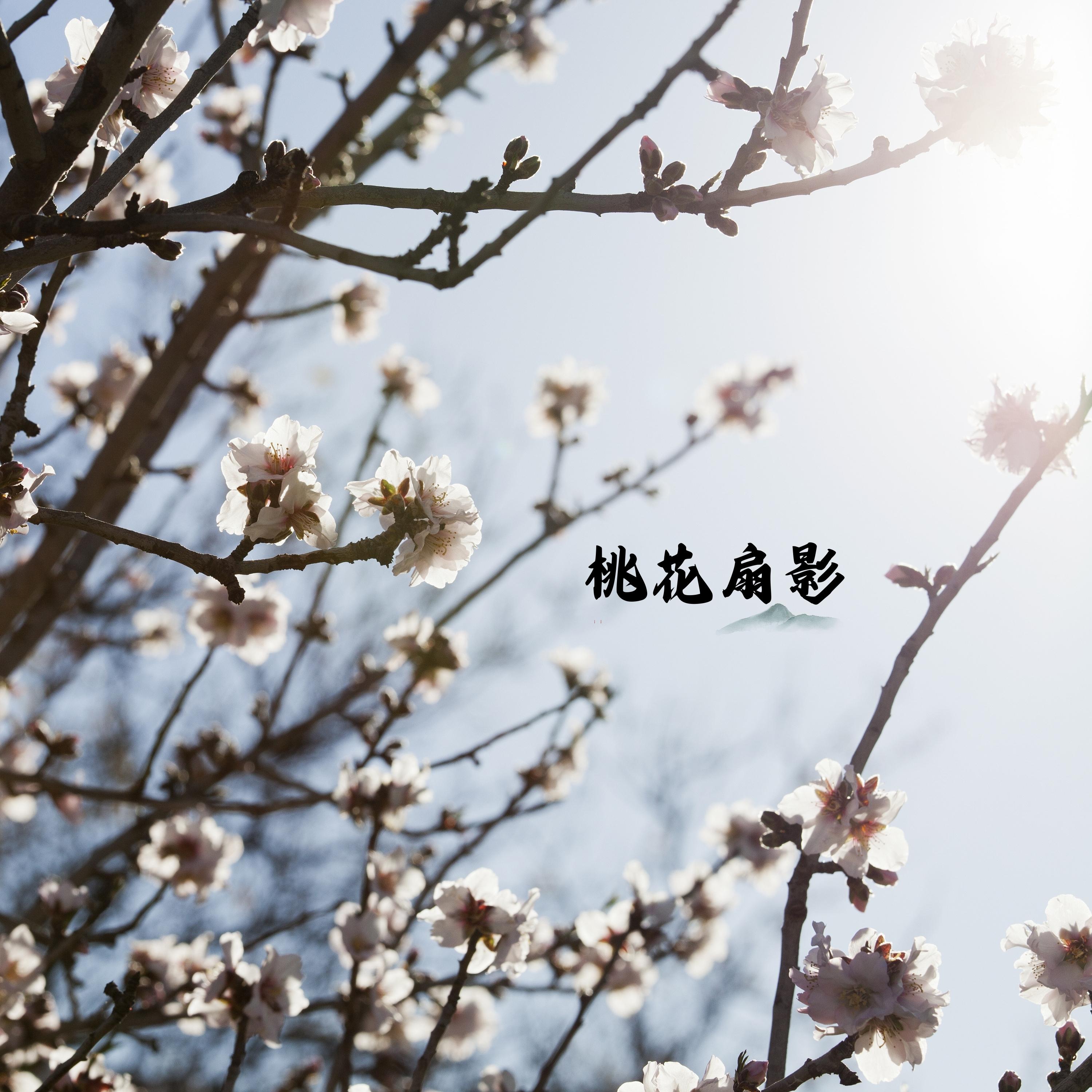 沧海仙 (按摩) - 养生音乐盒封面