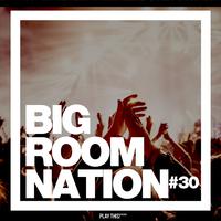 Big Room Nation, Vol. 30