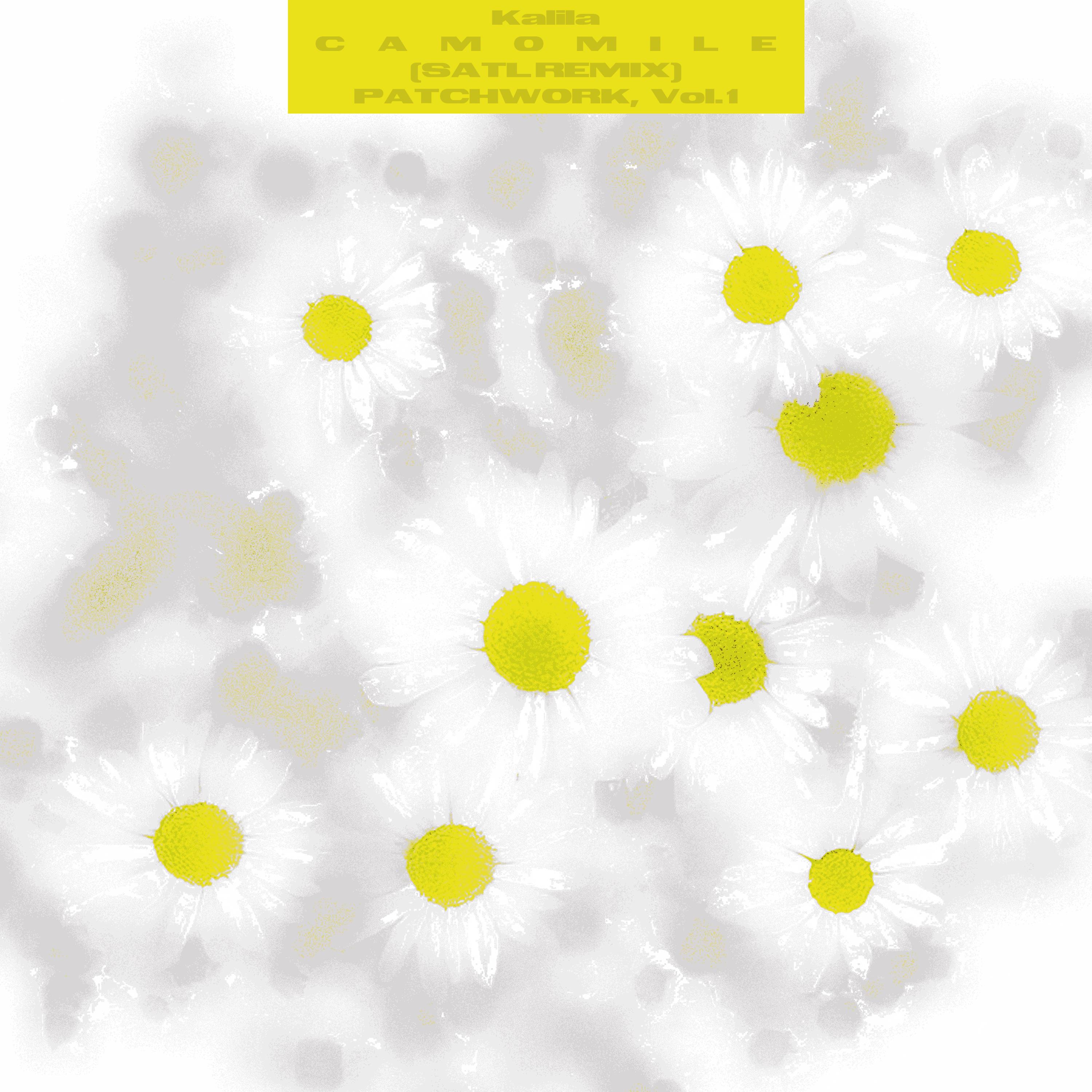 Camomile (Satl Remix)