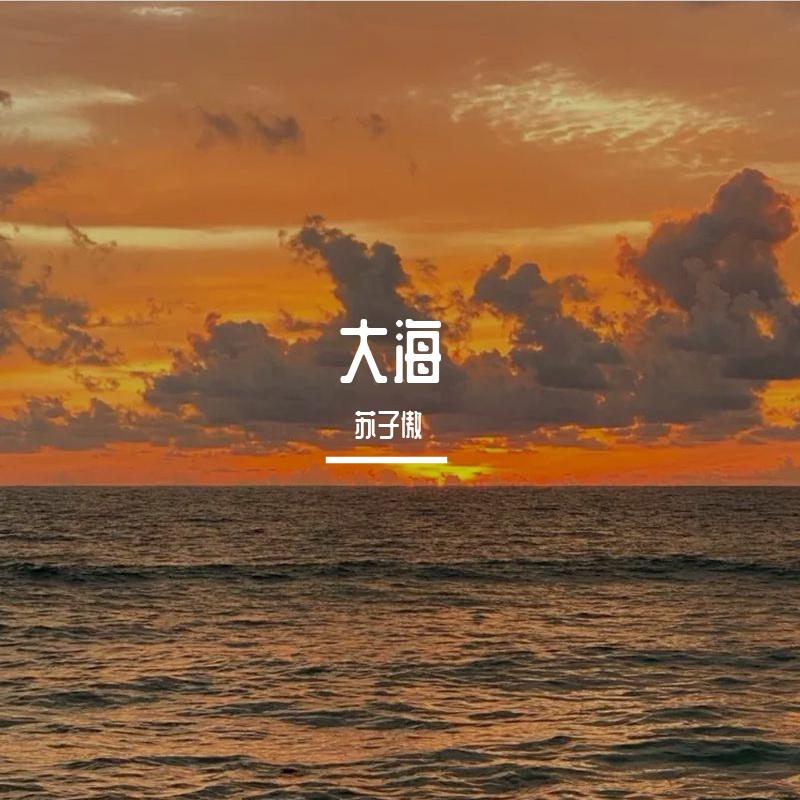 大海(柯柯)封面