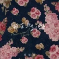 鲜花与荆棘 (DJ版)封面