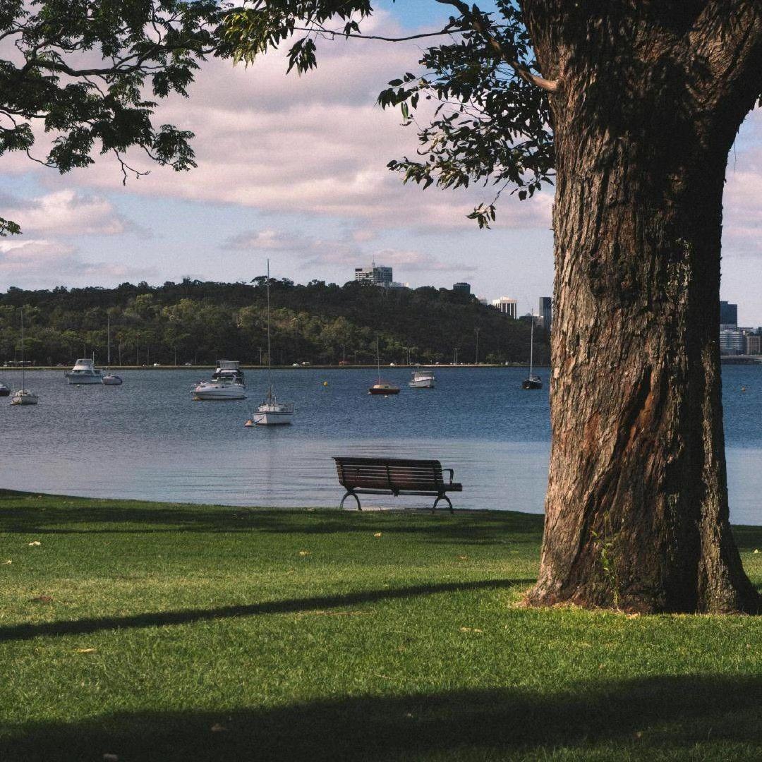 去码头搞点薯条