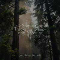 50 Stimulating Tracks for Sleep and Serenity