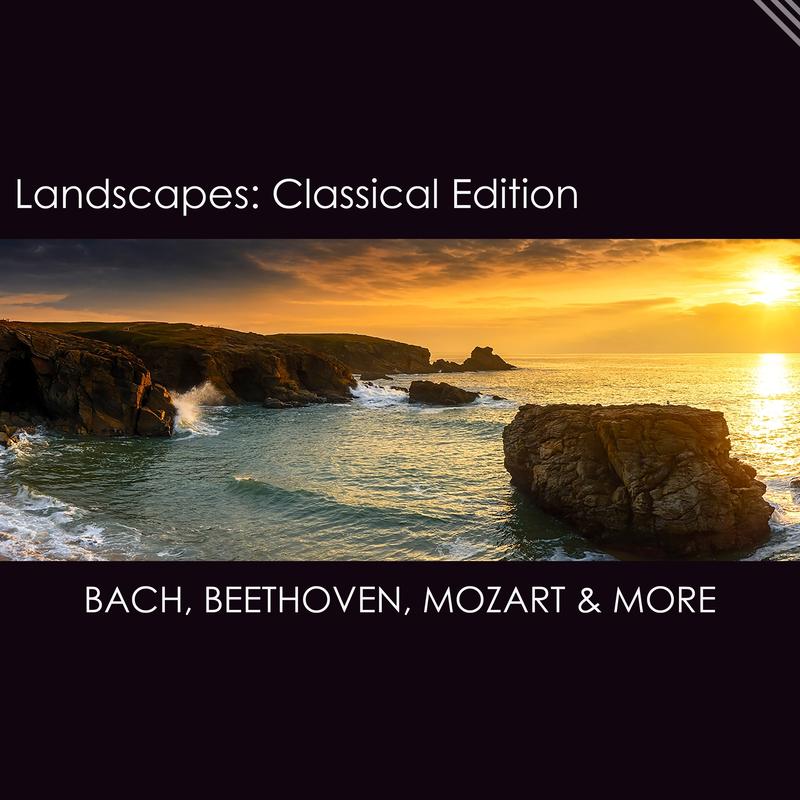 6 Moments musicaux, Op. 94, D. 780:No. 3 in F Minor (Allegro moderato)