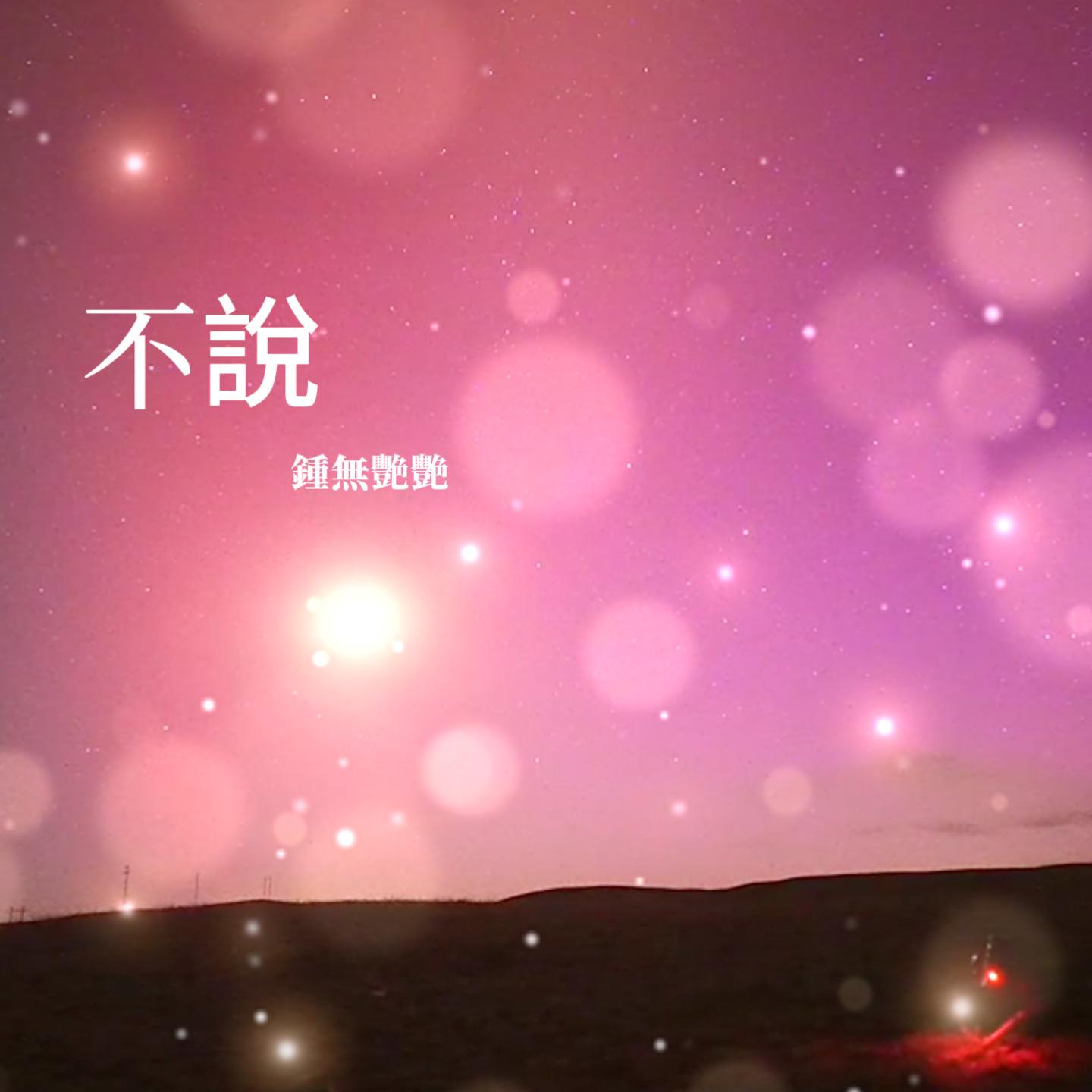 不說 (伴奏)封面