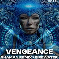 Shaman (Remix) / Firewater