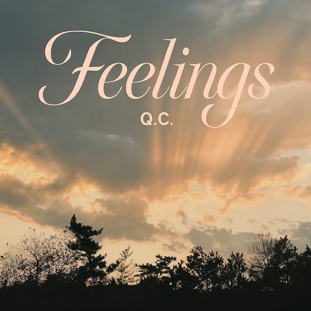 Feelings (感觉)封面