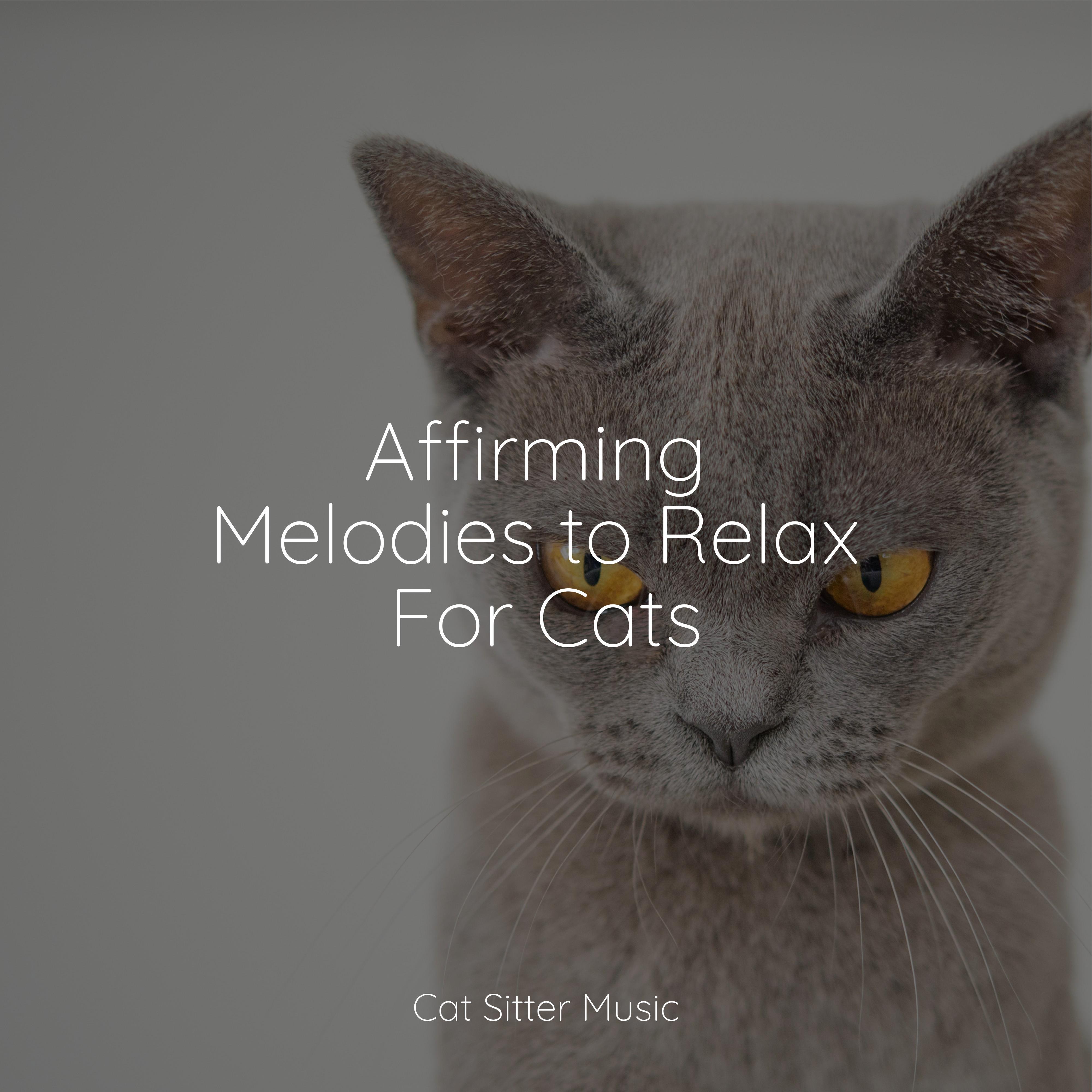 Seaside Air - Music for Relaxing Cats/Calm Music for Cats/Cat Music ...