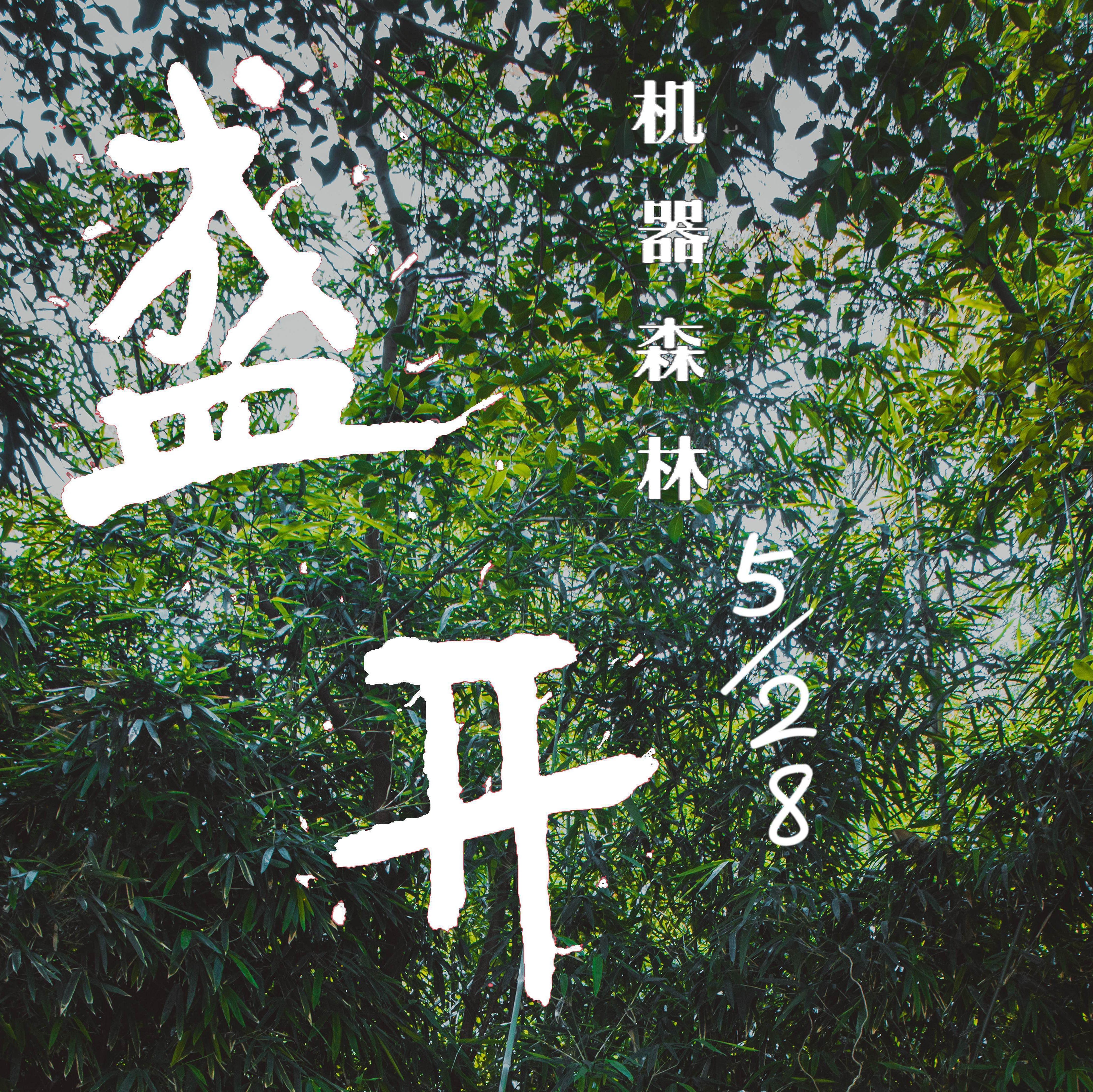 愿爱无忧Live (cover 痛仰乐队) - 机器森林封面