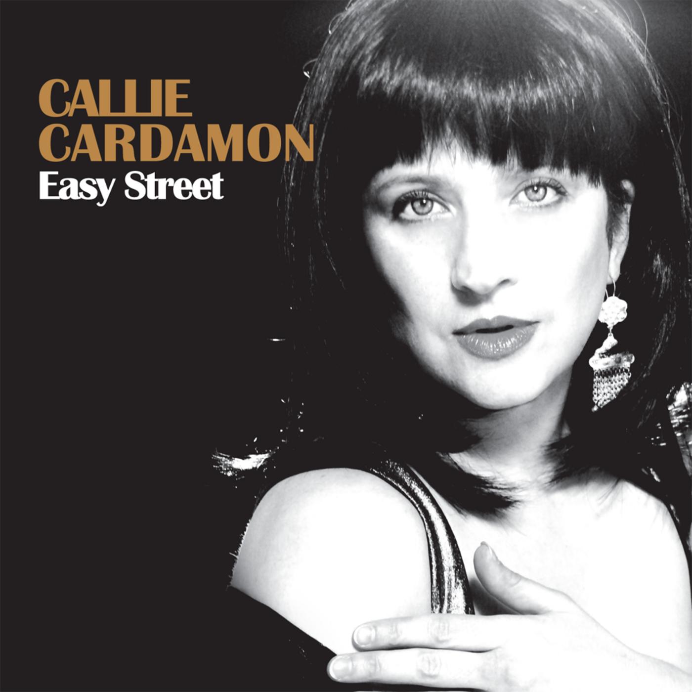 easy street歌手：callie cardamon发行时间：2010-02-23发行公司：