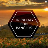 Trending EDM Bangers