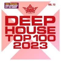 Deephouse Top 100 - 2023 - Vol. 13