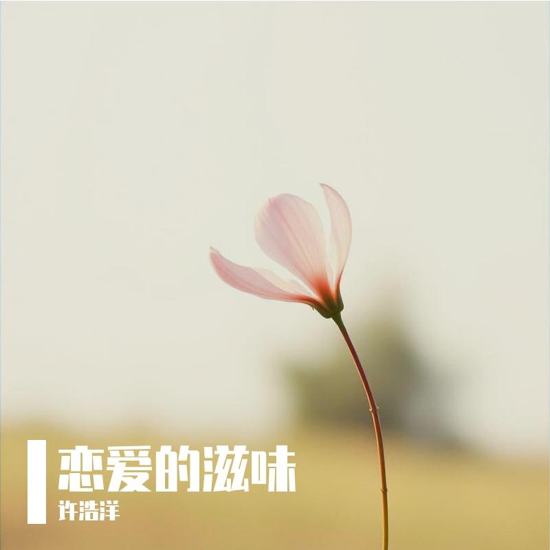 无法想像封面