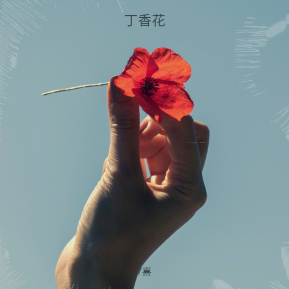 丁香花（女声版）封面