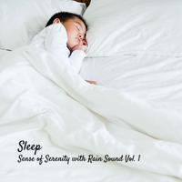 Sleep: Sense of Serenity with Rain Sound Vol. 1