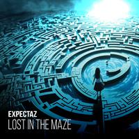 Lost In The Maze