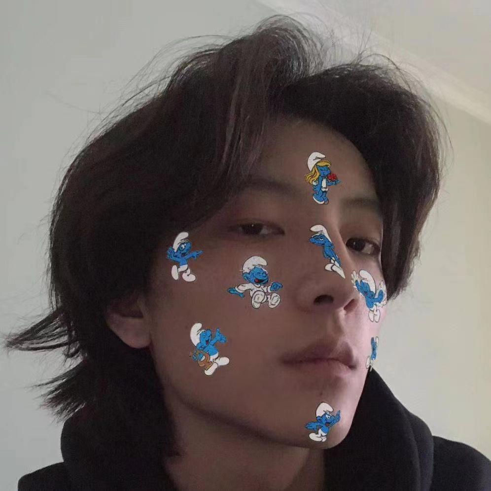 白兰鸽巡游记封面
