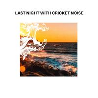 Last Night with Cricket Noise