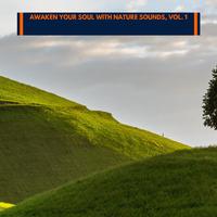 Awaken Your Soul with Nature Sounds, Vol. 1