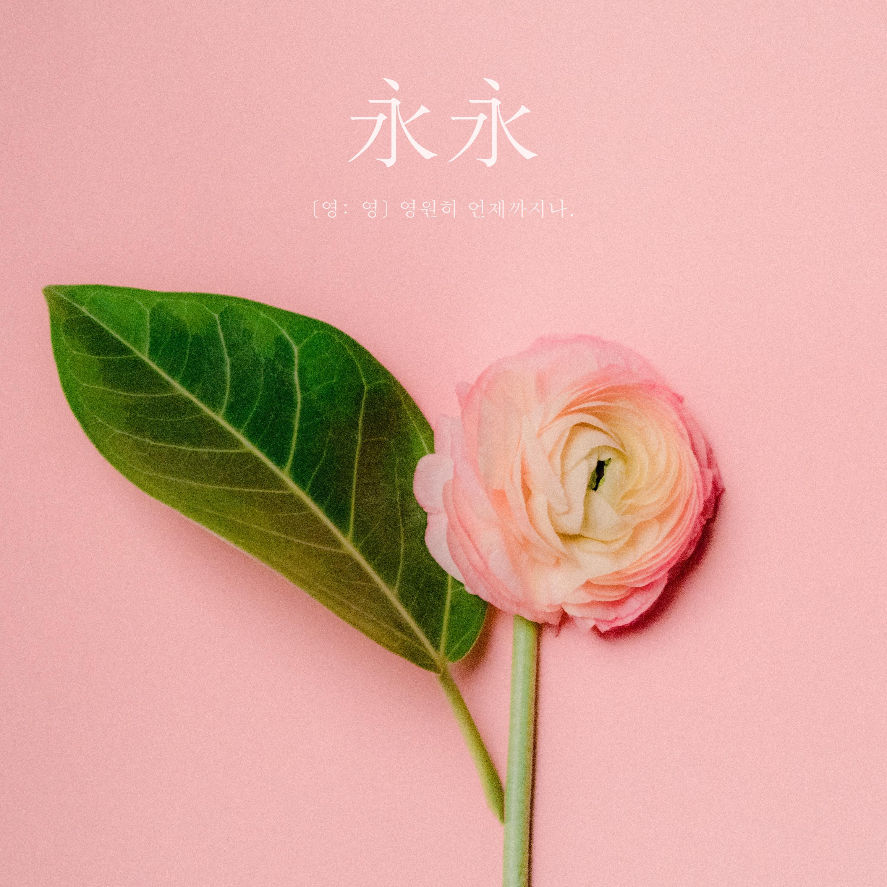 金范洙 ·《re.MAKE20 #6》