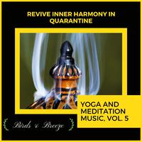 Revive Inner Harmony In Quarantine - Yoga And Meditation Music, Vol. 5