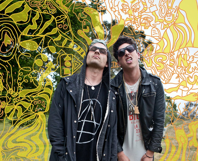 The Limousines