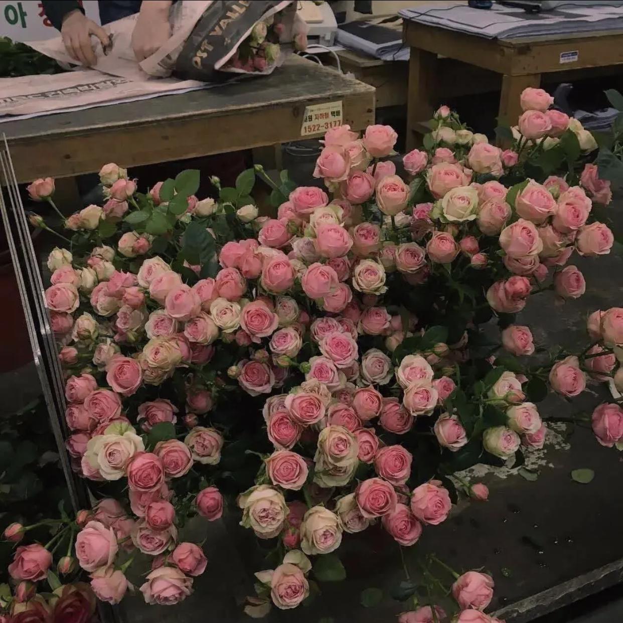 花花公子封面