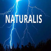 Naturalis资料,Naturalis最新歌曲,NaturalisMV视频,Naturalis音乐专辑,Naturalis好听的歌