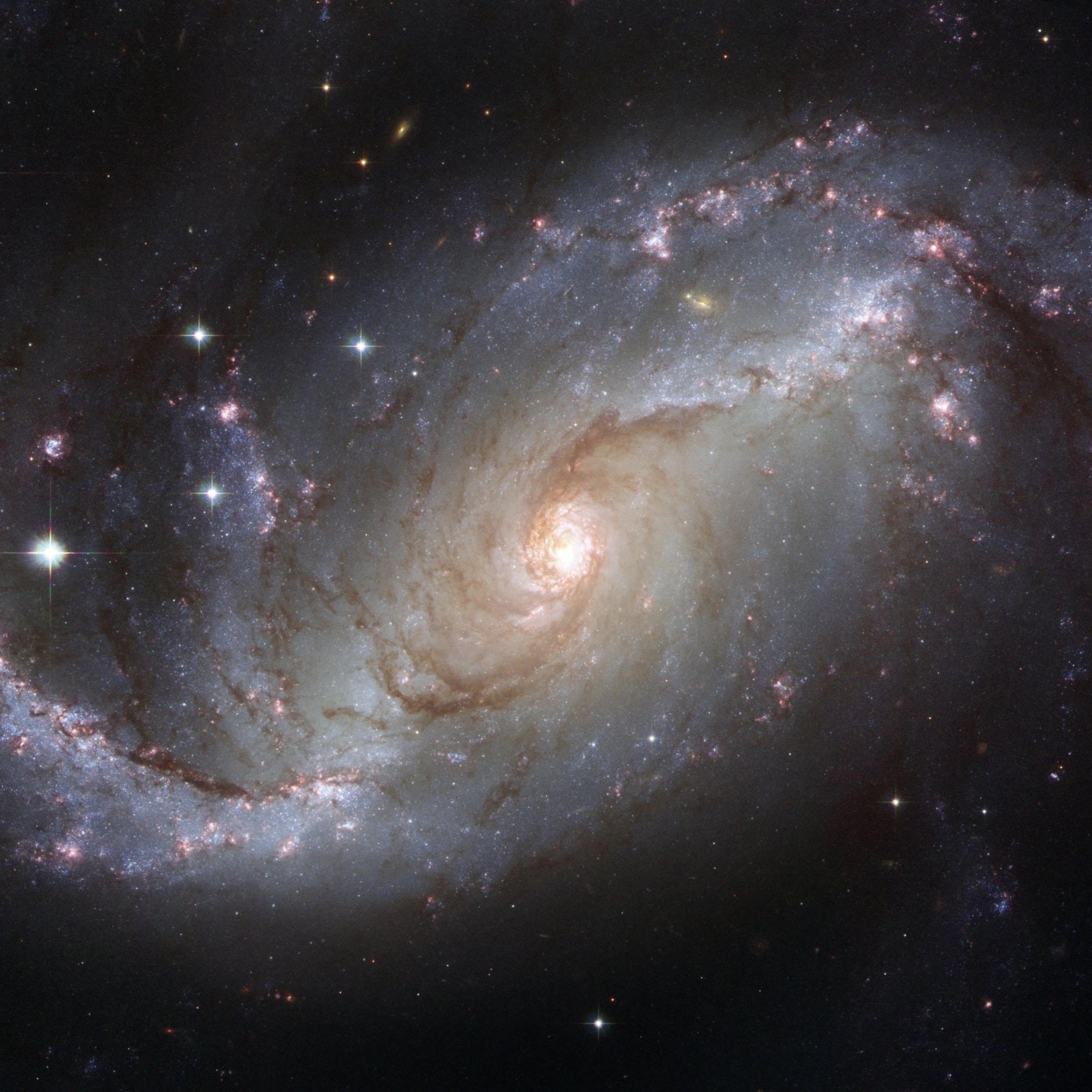 Stars (FreePumpkinKing) [feat. Pumpkin King & LukeXI]