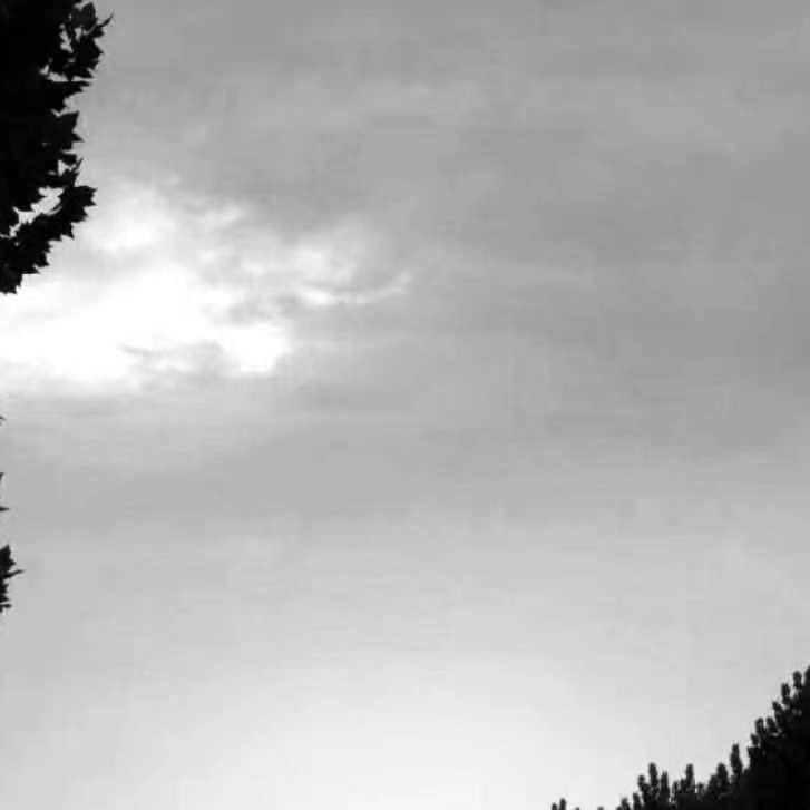 Gone【prod by 9Zi】