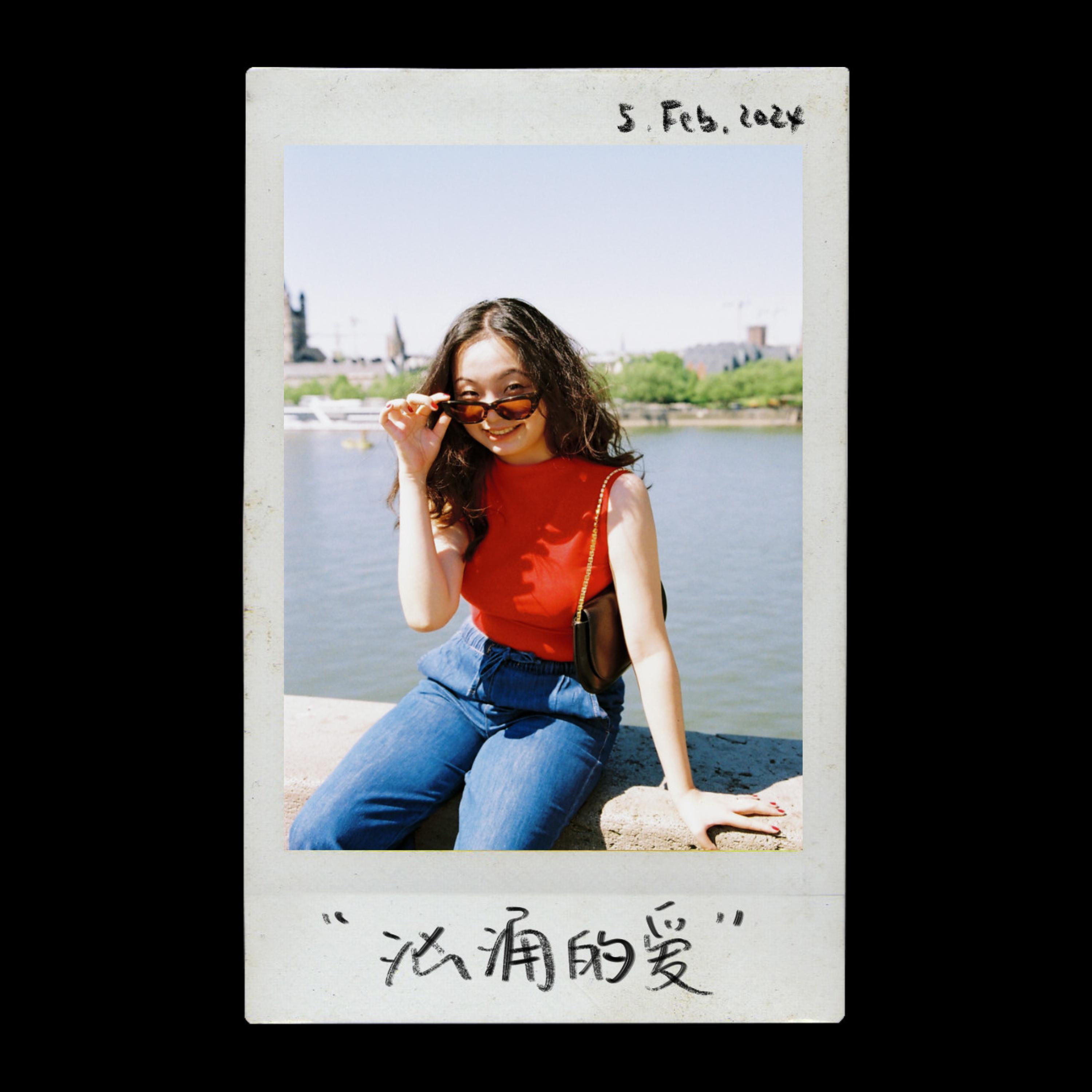 饿狼传说封面