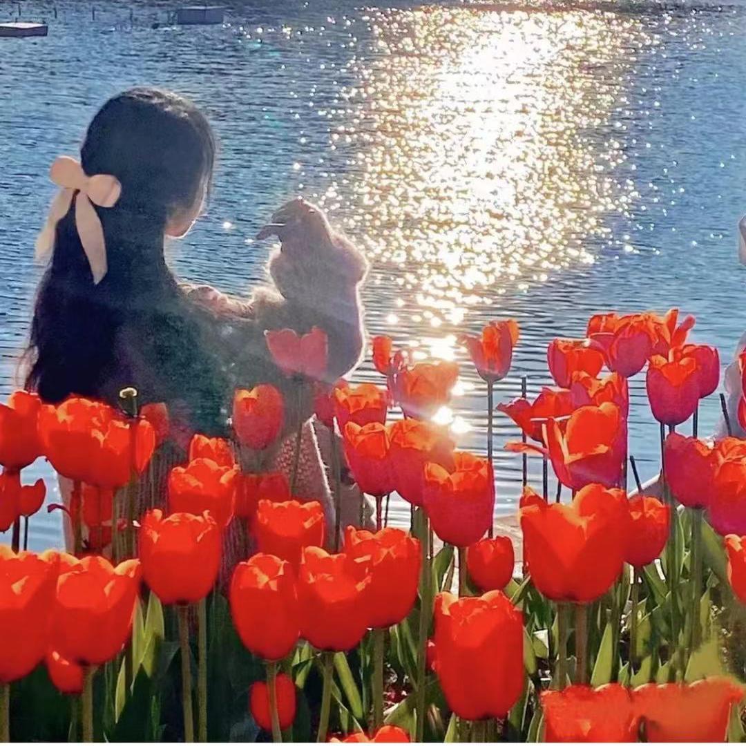 晴天娃娃（prod by ATTBeat）_文子杰_晴天娃娃 | 在线播放_晴天娃娃（prod by ATTBeat）歌词_晴天娃娃（prod by ATTBeat）下载 | 网易云音乐