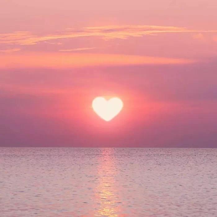 大雾散去我爱你人尽皆知.