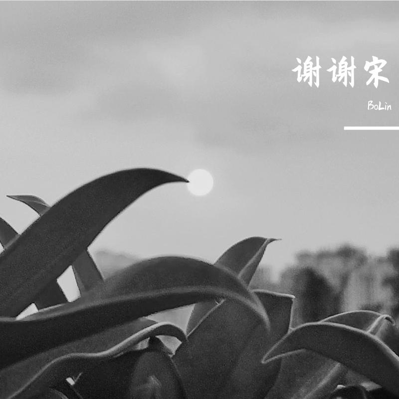 宋冬野-郭源潮（BoLin remix）封面