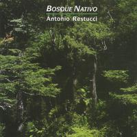 Bosque Nativo