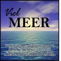 Viel Meer