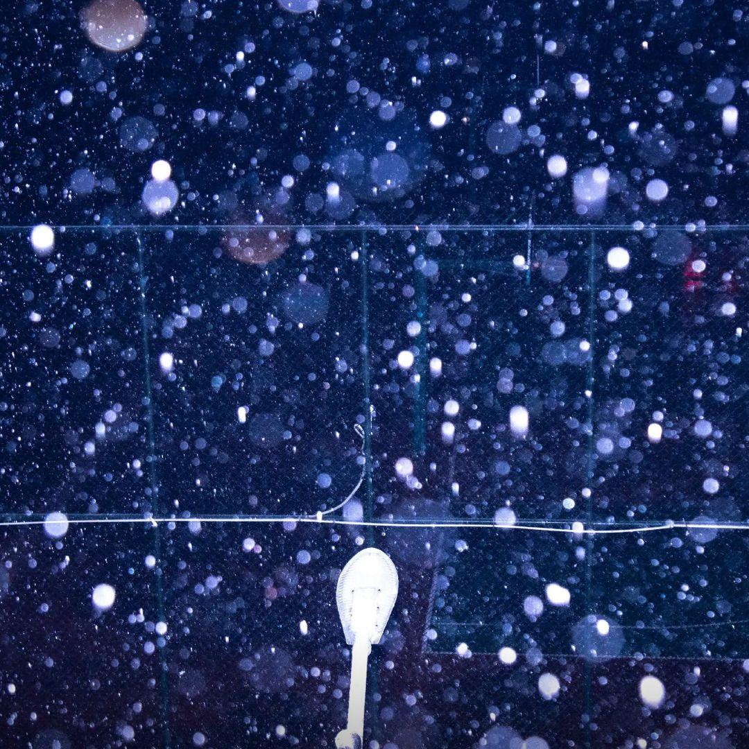 我想爱你浅浅不停息封面
