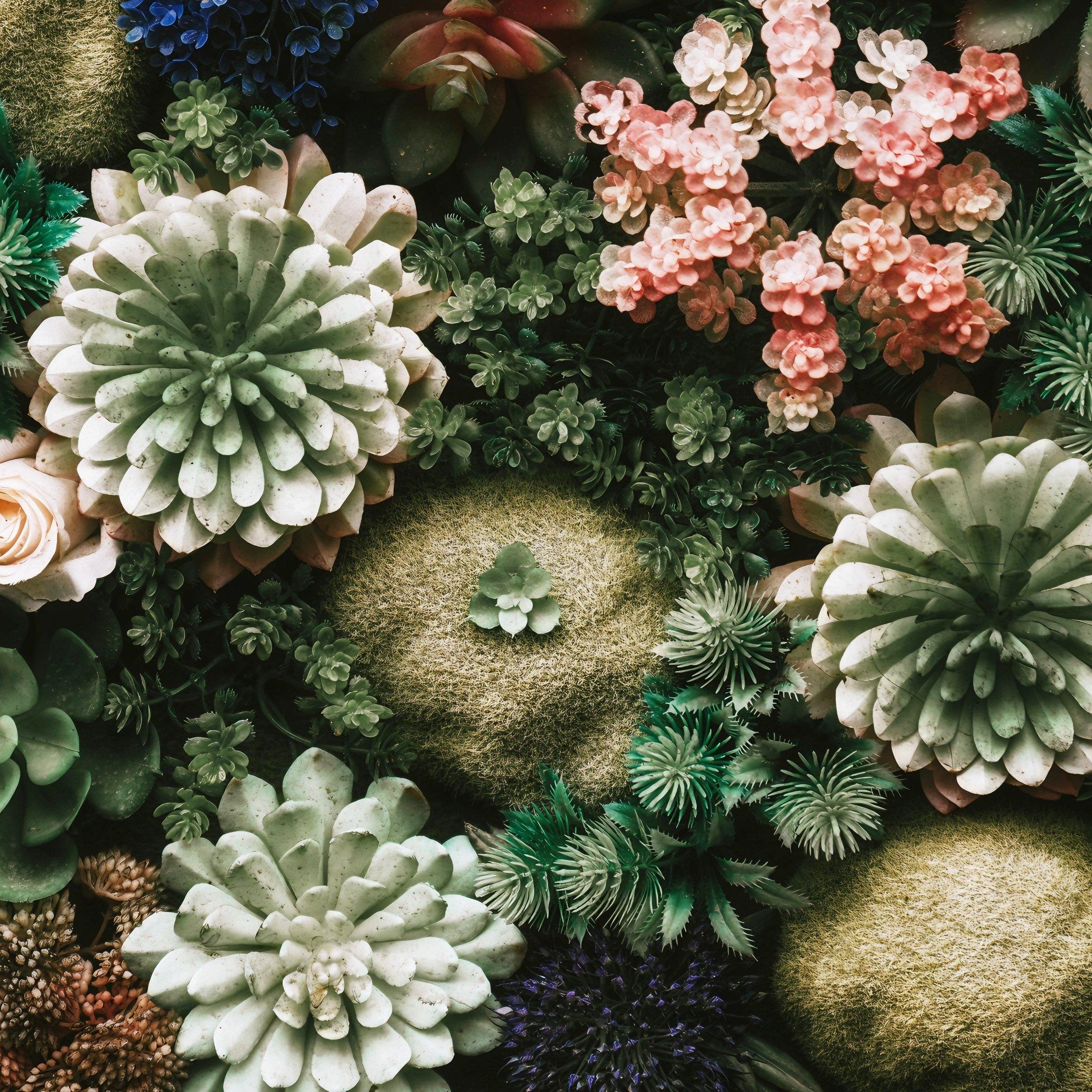 何必诗债换酒钱